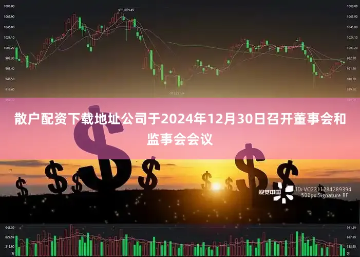 散户配资下载地址公司于2024年12月30日召开董事会和监事会会议