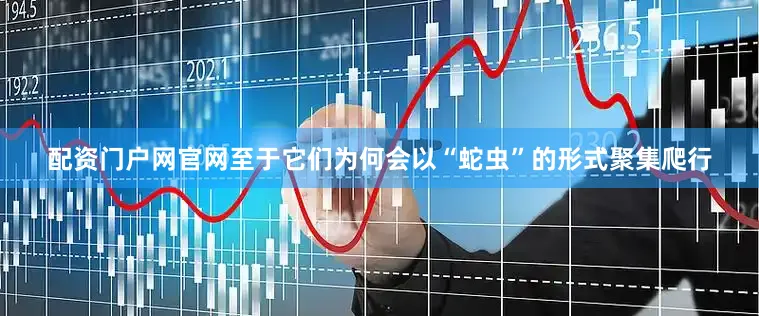 配资门户网官网至于它们为何会以“蛇虫”的形式聚集爬行