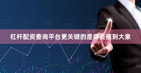 杠杆配资查询平台更关键的是得去摸到大象